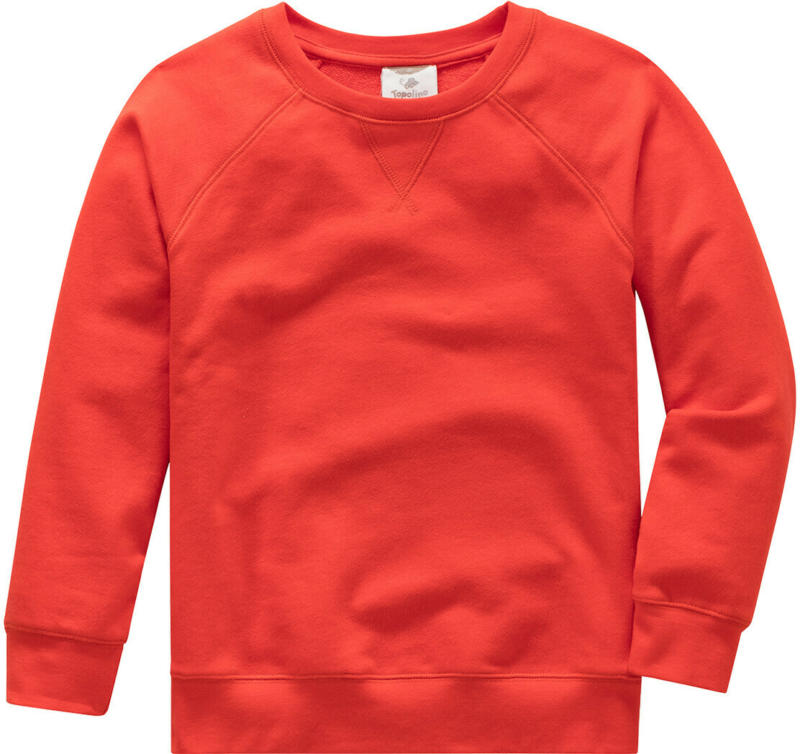 Jungen Sweatshirt im Basic-Look (Nur online)