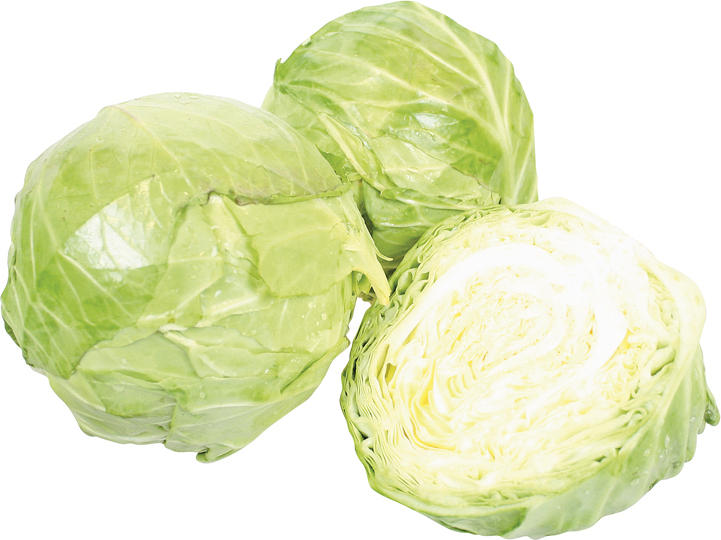 Weißkraut