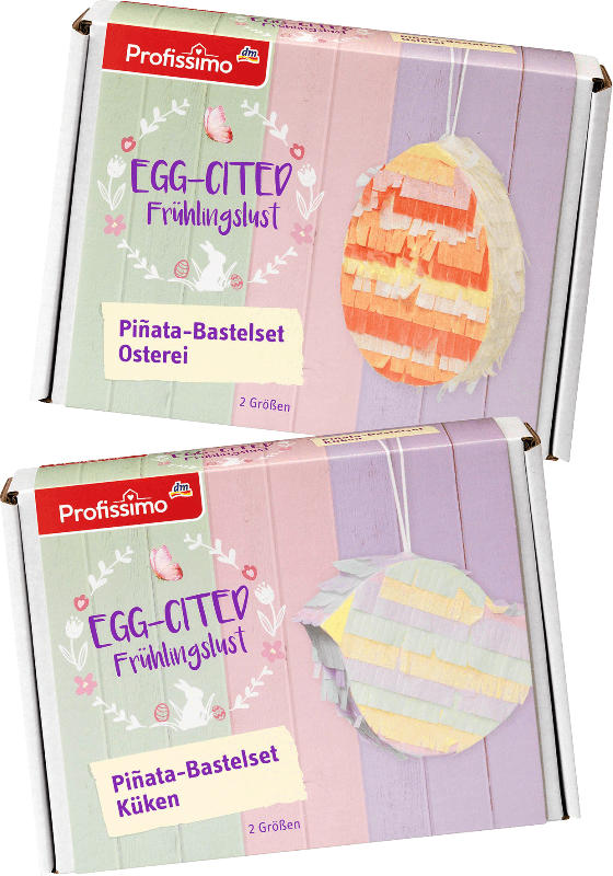 Dekorieren & Einrichten Pinata Bastelset