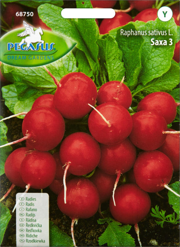 Gemüsesamen Radies Saxa, 1 Packung