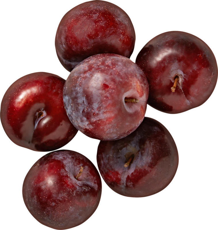 Pflaumen, Südafrika, per kg