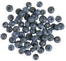 HEIDELBEEREN