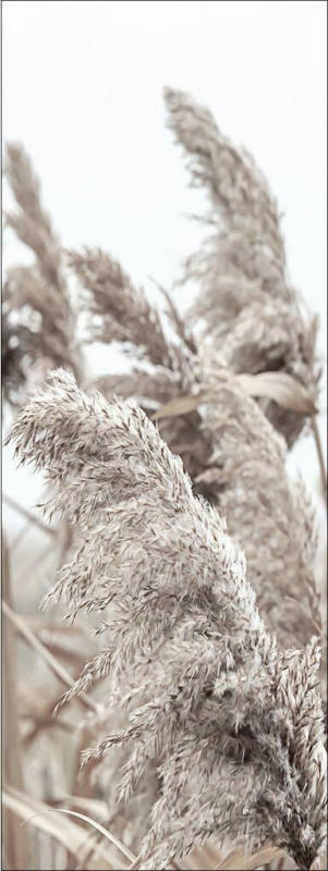 Keilrahmenbild In The Breeze II
