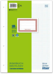 URSUS GREEN Ringbucheinlagen A4 mit Rahmen 100 Blatt kariert