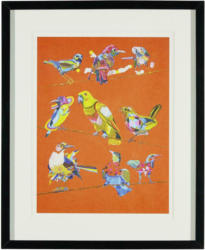 Bild Birdy I Multicolor ca.46X56X3cm