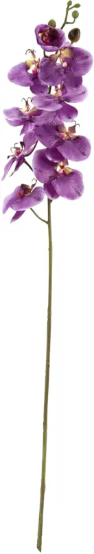 Kunstpflanze Phalänopsis in Lila