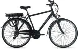 Elektrofahrrad Trekking Herren 28'' 114e