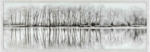 Möbelix Glasbild Alena Bäume Schwarz/Weiß, 107x37 cm