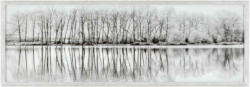 Glasbild Alena Bäume Schwarz/Weiß, 107x37 cm