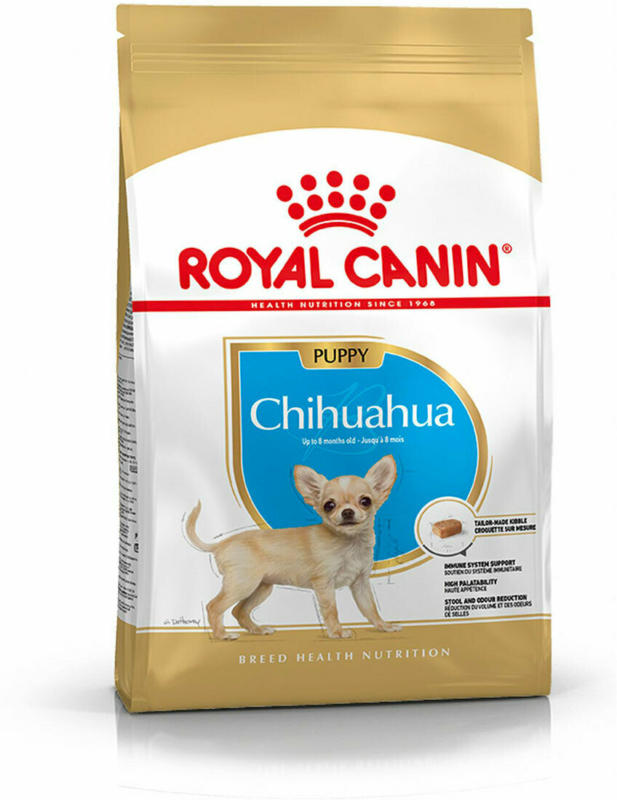 Chihuahua Puppy 1,5 kg 1500 g