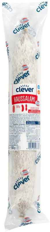 Clever Haussalami