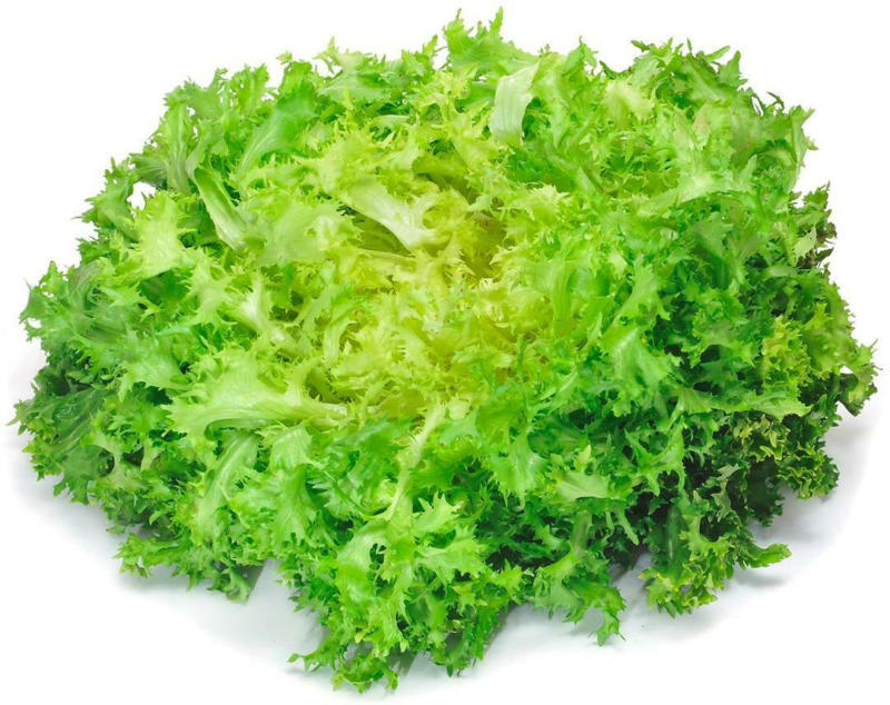 Endiviensalat aus Italien