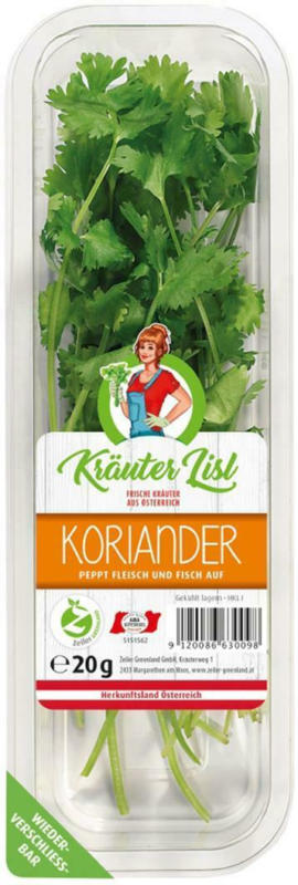 Koriander