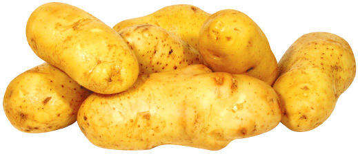 Kartoffeln neue Ernte