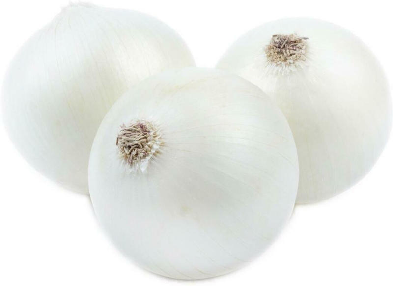 Zwiebel Weiß