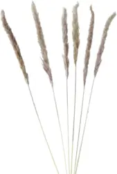 Kunstpflanze Pampasgrass in Natur