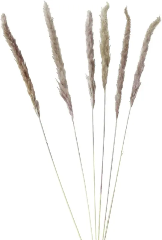 Kunstpflanze Pampasgrass in Natur