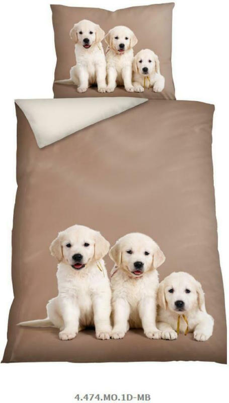 Bettwäsche Tiermotiv Dogs 140/200 cm