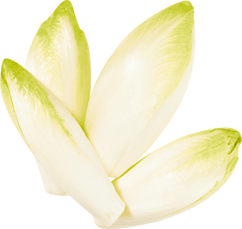 Cicoria belga, Svizzera, 500 g
