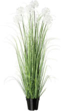 Möbelix Kunstpflanze Gras mit Weiße Blüten H: 128 cm mit Topf