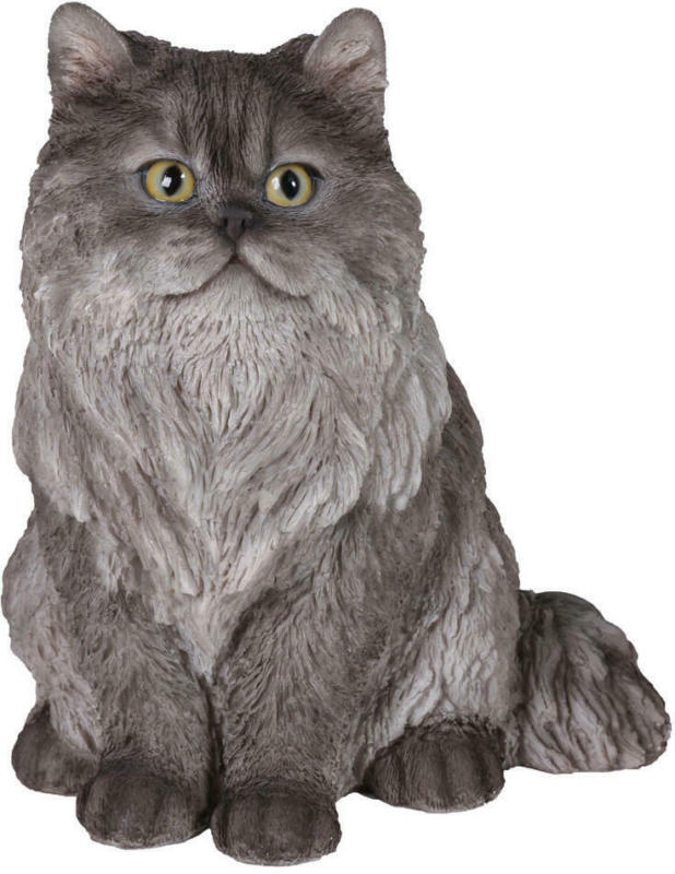 Dekokatze