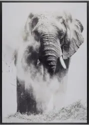 Keilrahmenbild Liam in Bunt, ca. 50x70cm