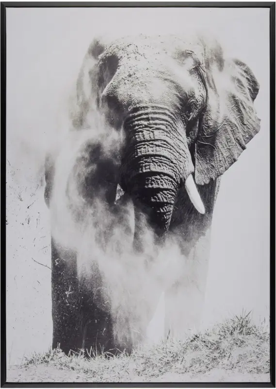 Keilrahmenbild Liam in Bunt, ca. 50x70cm