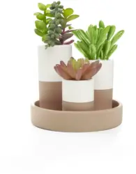 Kunstpflanze Sukkulente, 3-teiliges Set
