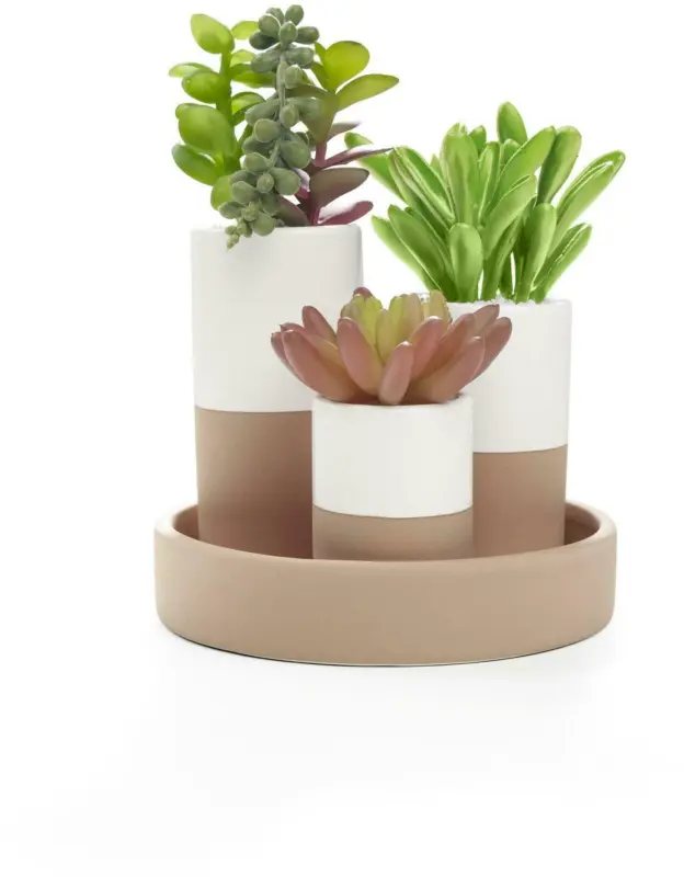 Kunstpflanze Sukkulente, 3-teiliges Set