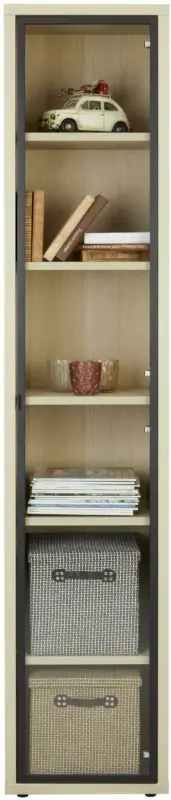 Regal in Eichefarben