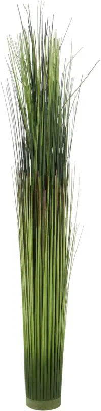 Grasbündel Markus in Grün