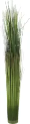 Grasbündel Markus in Grün