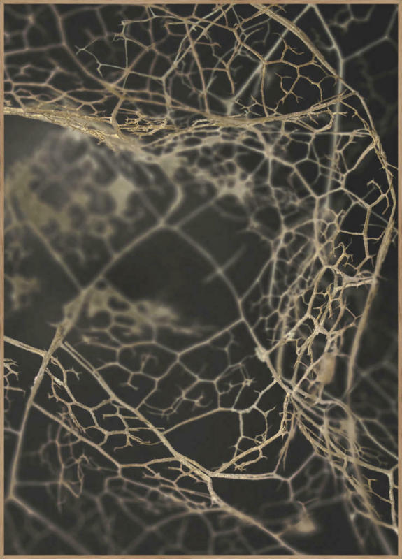 Bild 50/70 cm