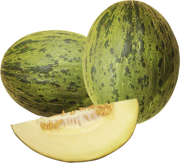 Melonen