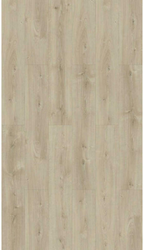 Laminatboden Eiche Natur Basic 600 1593829 per m²