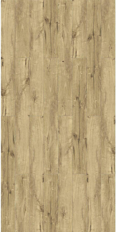 Laminatboden Eiche Natur Trendtime 1 1601432 per m²