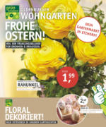 Oldenburger Wohngarten GmbH & Co. KG Frohe Ostern! - bis 23.03.2021