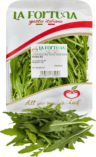 Rucola