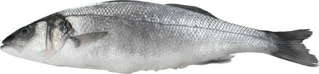 Wolfsbarsch (Loup de Mer)
