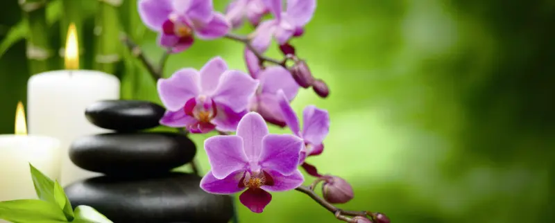 Infrarot-Heizpaneel Relax mit Thermostat