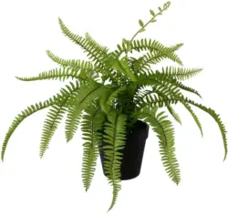 Kunstpflanze Farn in Grün