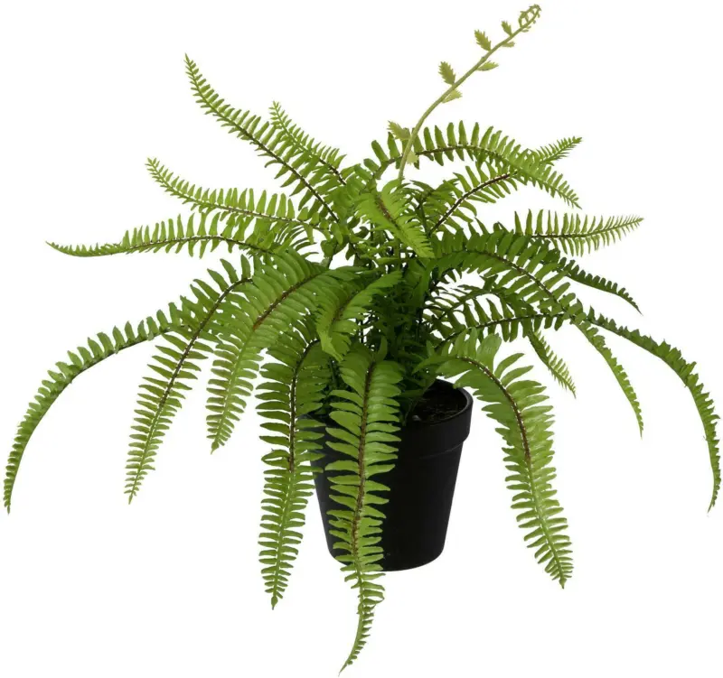 Kunstpflanze Farn in Grün
