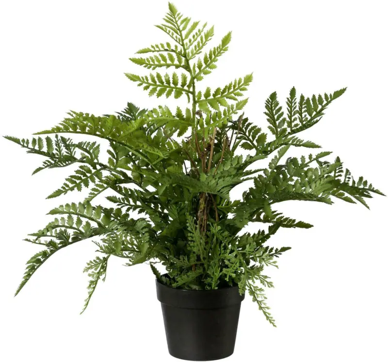Kunstpflanze Farn in Grün