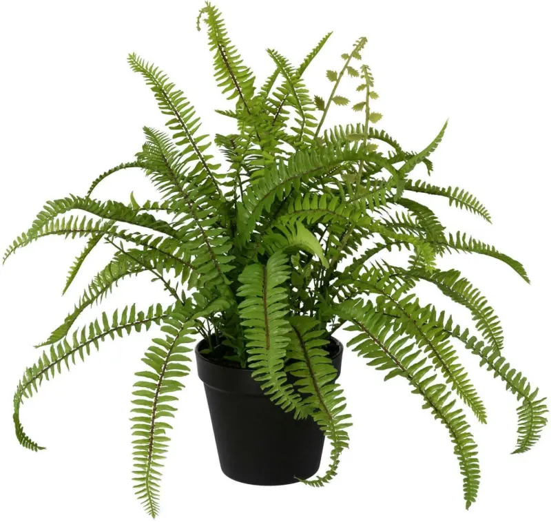 Kunstpflanze Farn in Grün