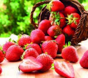 Erdbeeren