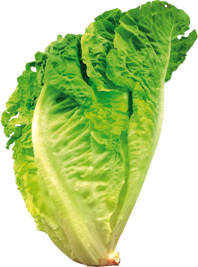 Salat Romana