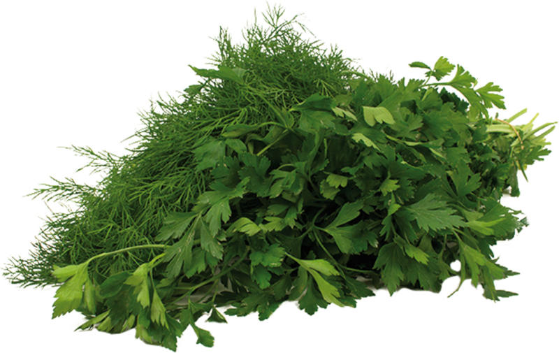 Dill oder Petersilie Bund