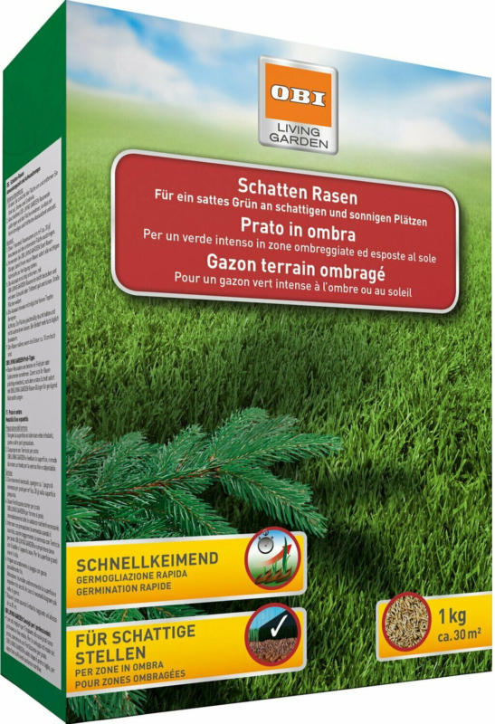 OBI Schatten-Rasen 1 kg