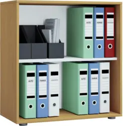 Aktenregal in Buchefarbe 'Lona L'