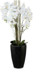 mömax Spittal a. d. Drau Kunstpflanze Orchidee ca. 120cm